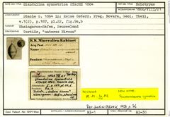 Karteikarte zum Holotyp von Glandulina symmetrica Stache, 1864